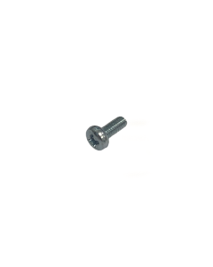 336.011 LENS SCREW M2,5X 6 DIN7985